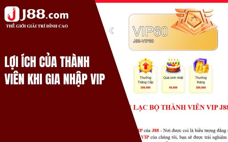 Quyền Lợi Đặc Biệt Dành Cho Thành Viên VIP J88 1 Phúc lợi của thành viên VIP tại J88