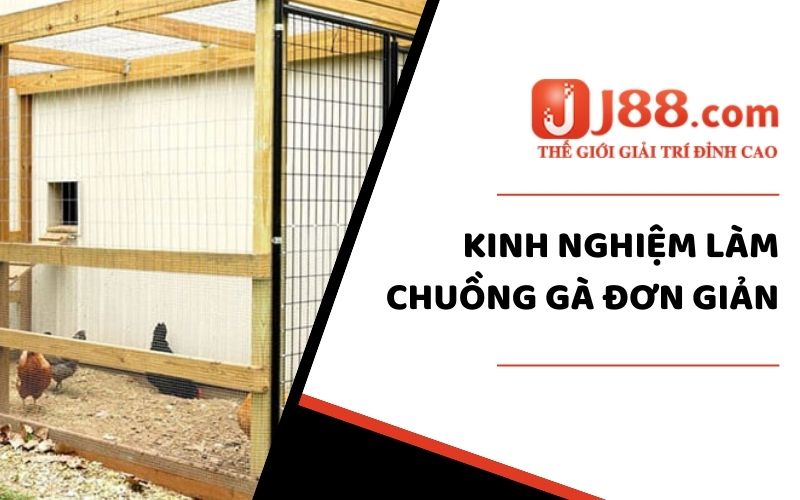 Cách Làm Chuồng Gà Đơn Giản Và Rẻ Dành Riêng Cho Sư Kê J88 1 Kinh nghiệm làm chuồng gà đơn giản