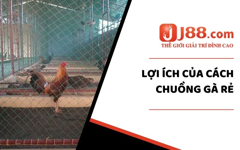 Cách Làm Chuồng Gà Đơn Giản Và Rẻ Dành Riêng Cho Sư Kê J88 3 Lợi ích của cách chuồng gà rẻ